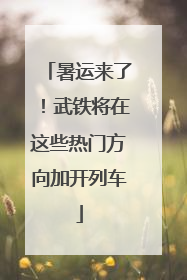 暑运来了！武铁将在这些热门方向加开列车