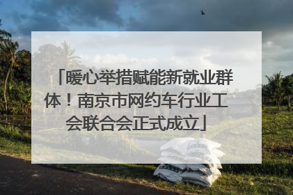 暖心举措赋能新就业群体！南京市网约车行业工会联合会正式成立