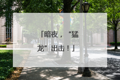 暗夜，“猛龙”出击！