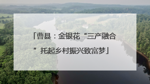 曹县：金银花“三产融合”托起乡村振兴致富梦