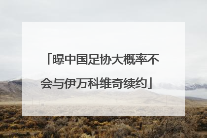 曝中国足协大概率不会与伊万科维奇续约