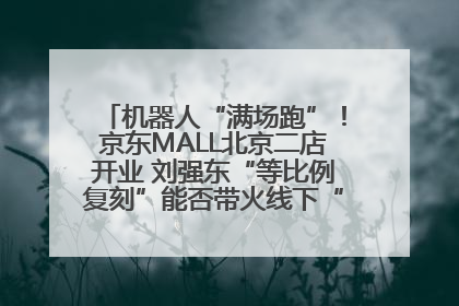 机器人“满场跑”！京东MALL北京二店开业 刘强东“等比例复刻”能否带火线下“618”？