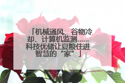 机械通风、谷物冷却、计算机监测……科技优储让夏粮住进智慧的“家”
