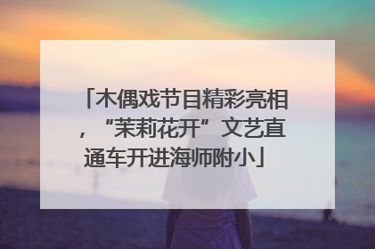 木偶戏节目精彩亮相，“茉莉花开”文艺直通车开进海师附小