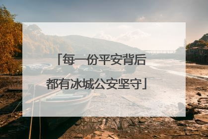 每一份平安背后 都有冰城公安坚守