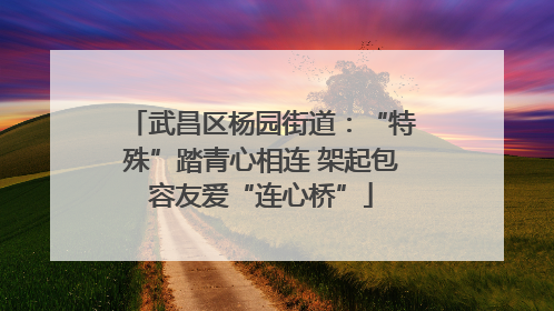 武昌区杨园街道：“特殊”踏青心相连 架起包容友爱“连心桥”