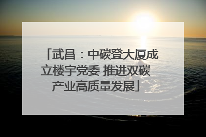 武昌：中碳登大厦成立楼宇党委 推进双碳产业高质量发展