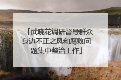 武晓花调研督导群众身边不正之风和腐败问题集中整治工作