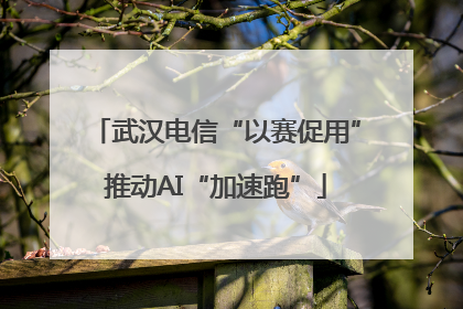 武汉电信“以赛促用”推动AI“加速跑”