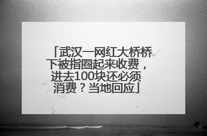武汉一网红大桥桥下被指圈起来收费，进去100块还必须消费？当地回应