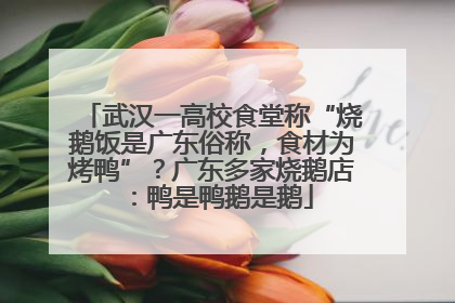 武汉一高校食堂称“烧鹅饭是广东俗称，食材为烤鸭”？广东多家烧鹅店：鸭是鸭鹅是鹅