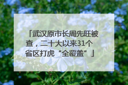 武汉原市长周先旺被查，二十大以来31个省区打虎“全覆盖”