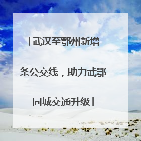 武汉至鄂州新增一条公交线，助力武鄂同城交通升级