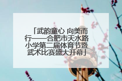 武韵童心 向美而行——合肥市天水路小学第二届体育节暨武术比赛盛大开幕