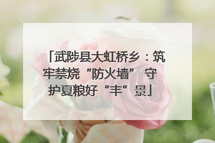 武陟县大虹桥乡：筑牢禁烧“防火墙” 守护夏粮好“丰”景