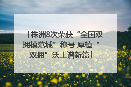 株洲8次荣获“全国双拥模范城”称号 厚植“双拥”沃土谱新篇