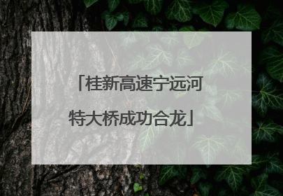 桂新高速宁远河特大桥成功合龙