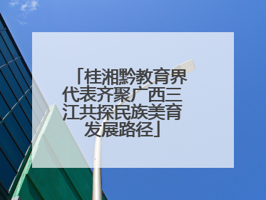桂湘黔教育界代表齐聚广西三江共探民族美育发展路径