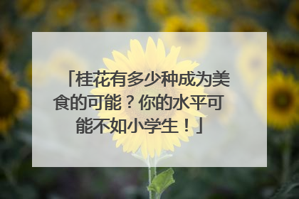 桂花有多少种成为美食的可能？你的水平可能不如小学生！