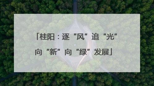 桂阳：逐“风”追“光” 向“新”向“绿”发展