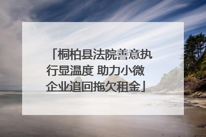 桐柏县法院善意执行显温度 助力小微企业追回拖欠租金