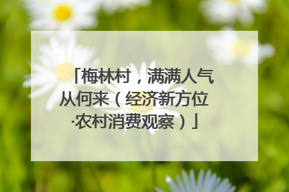 梅林村，满满人气从何来（经济新方位·农村消费观察）