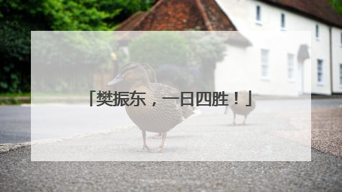 樊振东，一日四胜！