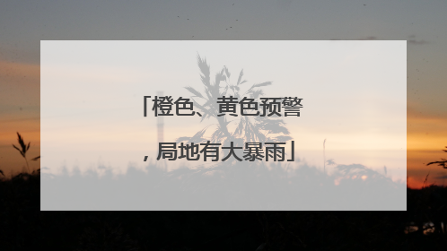 橙色、黄色预警，局地有大暴雨