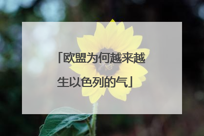 欧盟为何越来越生以色列的气