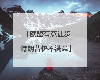 欧盟有意让步 特朗普仍不满意