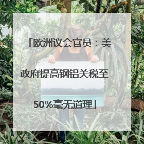 欧洲议会官员：美政府提高钢铝关税至50%毫无道理