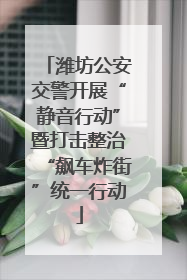 潍坊公安交警开展“静音行动”暨打击整治“飙车炸街”统一行动