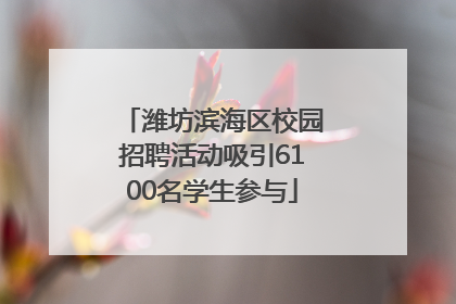 潍坊滨海区校园招聘活动吸引6100名学生参与