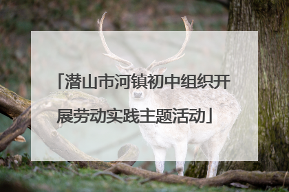 潜山市河镇初中组织开展劳动实践主题活动