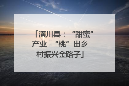 潢川县：“甜蜜”产业  “桃”出乡村振兴金路子