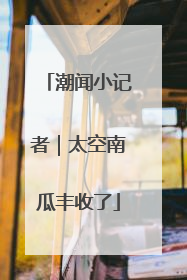潮闻小记者｜太空南瓜丰收了