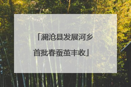 澜沧县发展河乡首批春蚕茧丰收
