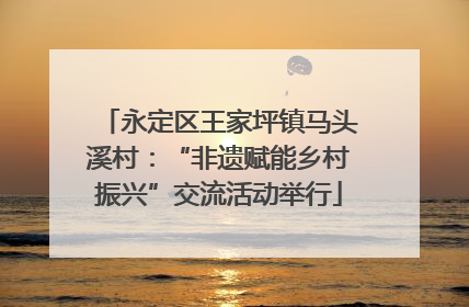 永定区王家坪镇马头溪村：“非遗赋能乡村振兴”交流活动举行