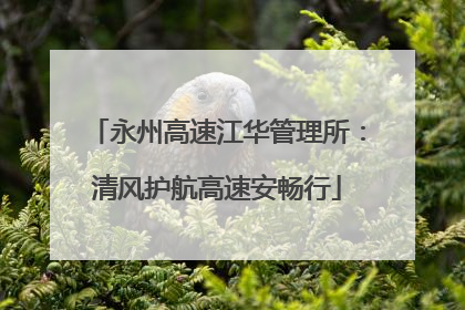 永州高速江华管理所：清风护航高速安畅行