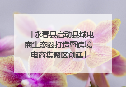 永春县启动县域电商生态圈打造暨跨境电商集聚区创建
