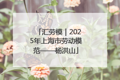 汇劳模｜2025年上海市劳动模范——杨洪山