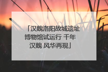 汉魏洛阳故城遗址博物馆试运行 千年汉魏 风华再现