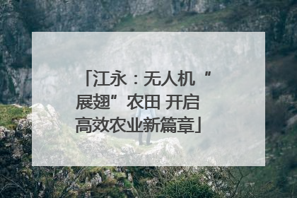江永：无人机“展翅”农田 开启高效农业新篇章