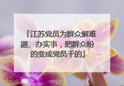江苏党员为群众解难题、办实事，把群众盼的变成党员干的