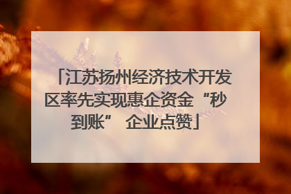 江苏扬州经济技术开发区率先实现惠企资金“秒到账” 企业点赞