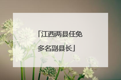 江西两县任免多名副县长