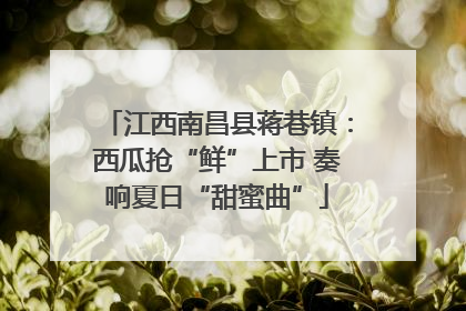 江西南昌县蒋巷镇：西瓜抢“鲜”上市 奏响夏日“甜蜜曲”