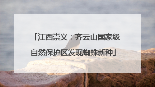 江西崇义：齐云山国家级自然保护区发现蜘蛛新种