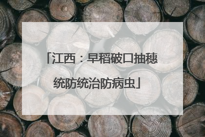 江西：早稻破口抽穗 统防统治防病虫