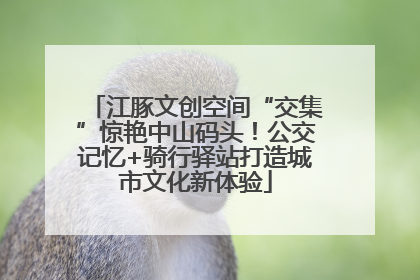 江豚文创空间“交集”惊艳中山码头！公交记忆+骑行驿站打造城市文化新体验